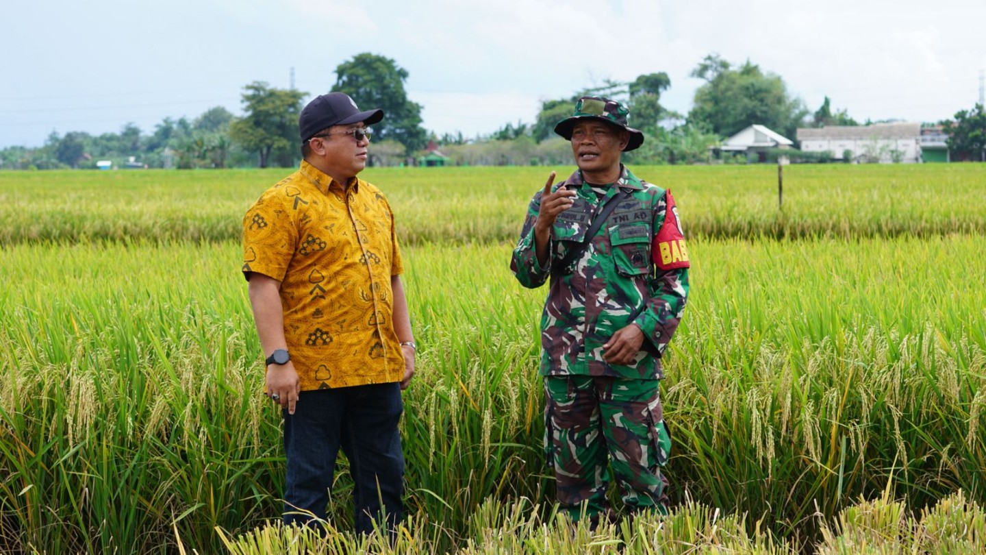 Tertinggi Sepanjang Sejarah, Serapan Pengadaan Beras Bulog Jatim Tembus 200 ribu ton pada Februari 2026