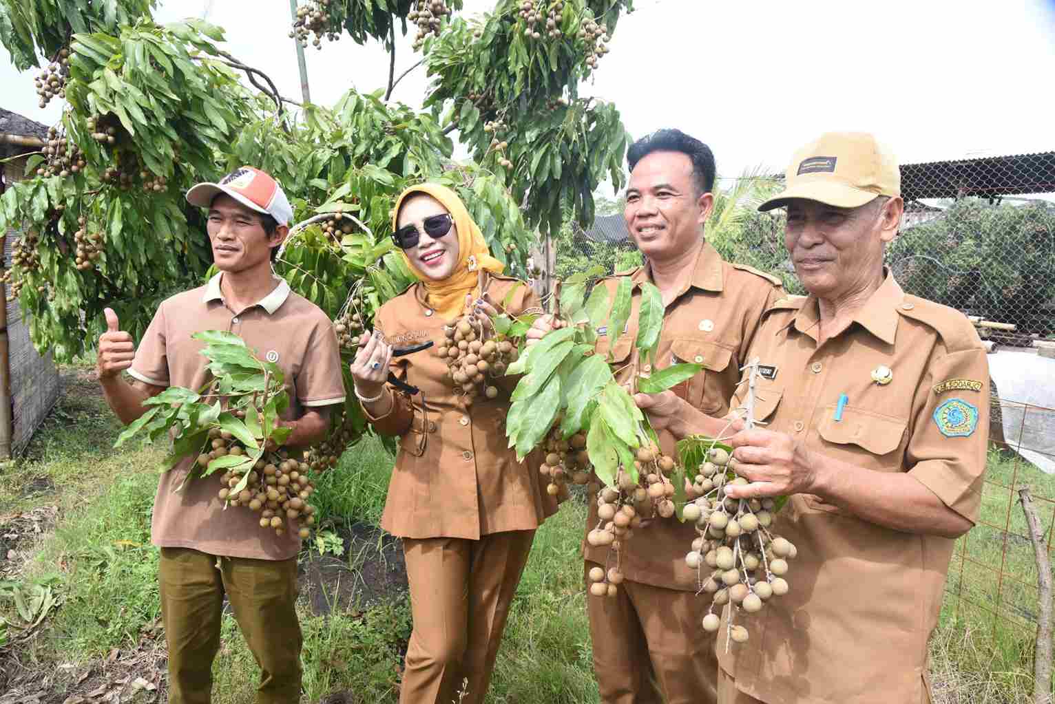 Wabup Sidoarjo Apresiasi Wisata Petik Buah Klengkeng di Tulangan