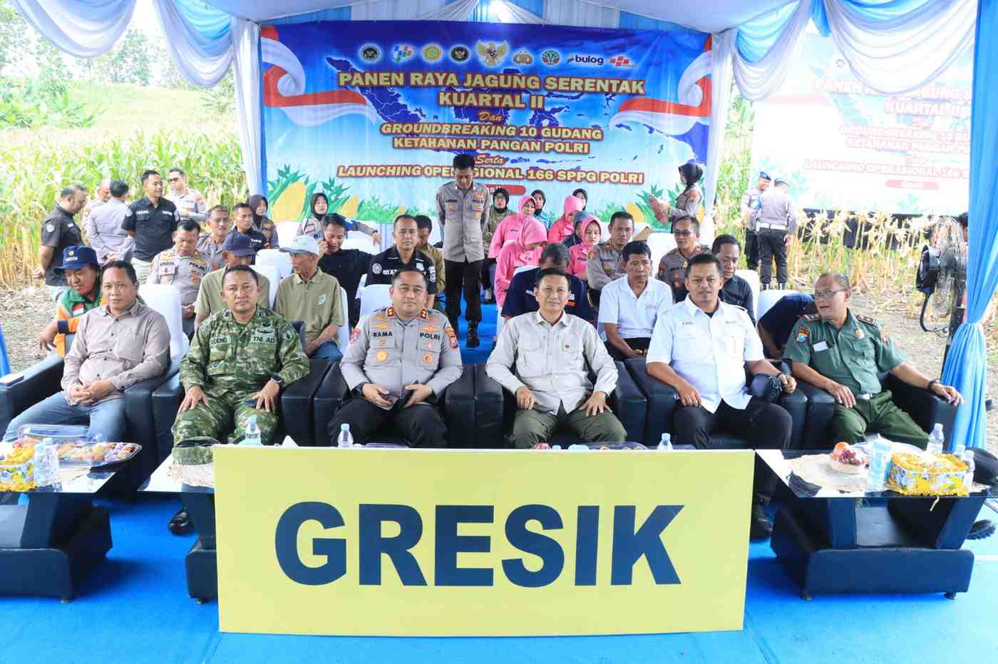 Dukung Ketahanan Pangan Nasional, Polres Gresik Sukses Panen Raya Jagung 80 Ton di Panceng dan Salurkan Bantuan untuk Petani