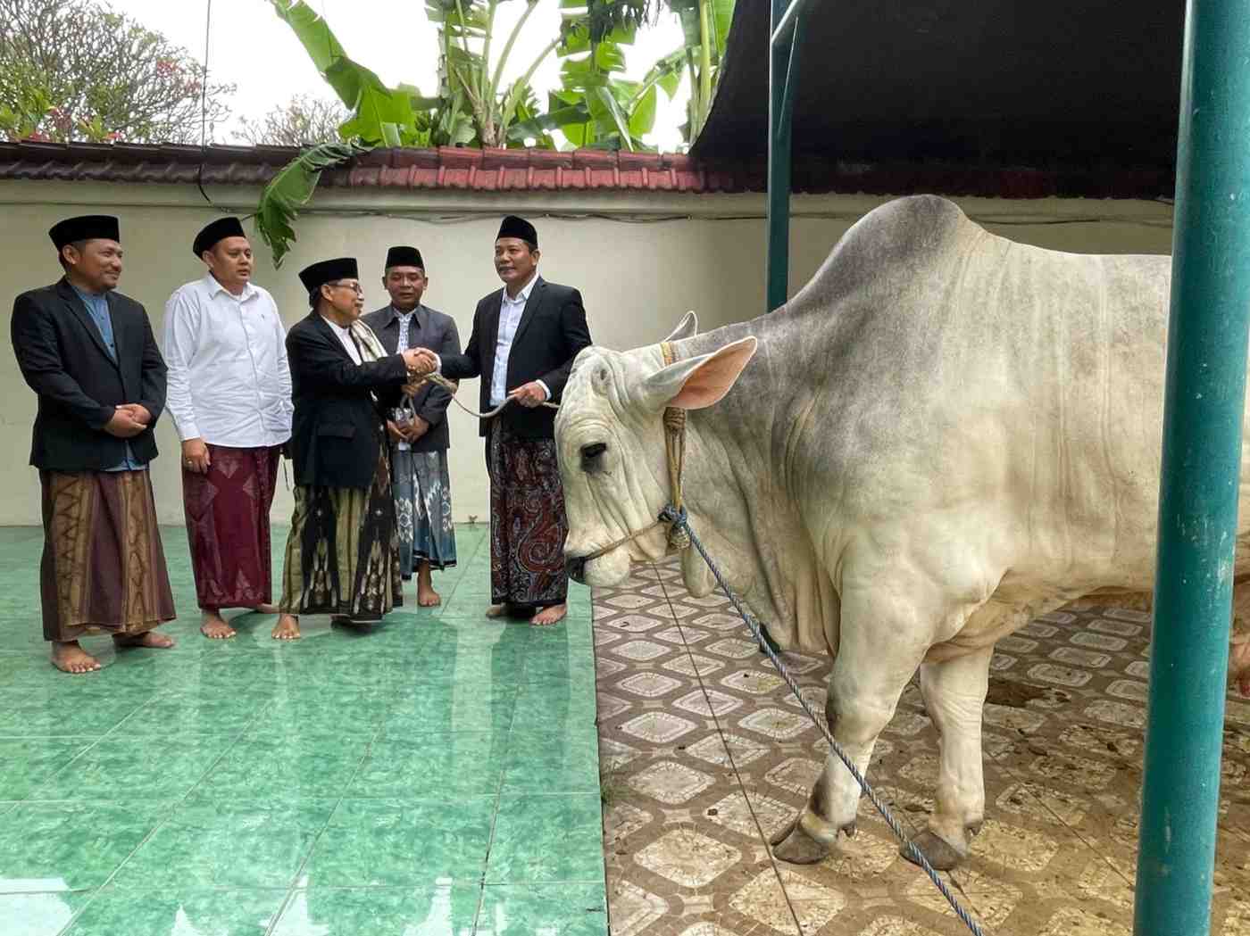 Bupati Sidoarjo Salurkan Sapi Kurban 800 Kilogram dan Bantuan Presiden untuk Warga Jabon