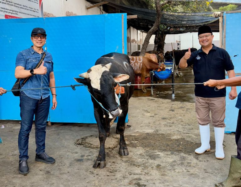 PAM Surya Sembada Surabaya Salurkan 13 Ekor Sapi Kurban untuk Warga pada Idul Adha 1447 H